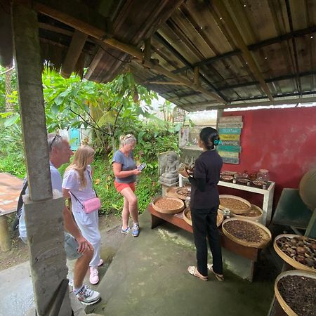 Badini Homestay Pemuteran Exterior foto